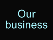 Our business